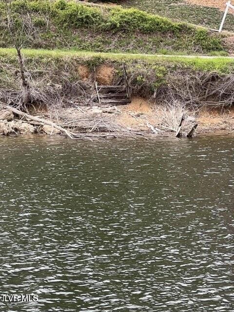 LOT14B Cable Hollow Rd, Butler, TN 37640