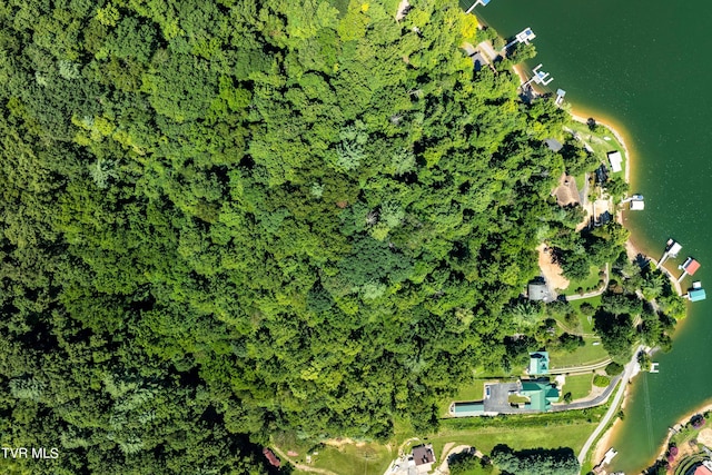 LOT14B Cable Hollow Rd, Butler, TN 37640