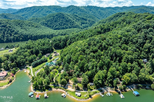 LOT14B Cable Hollow Rd, Butler, TN 37640