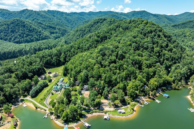 LOT14B Cable Hollow Rd, Butler, TN 37640