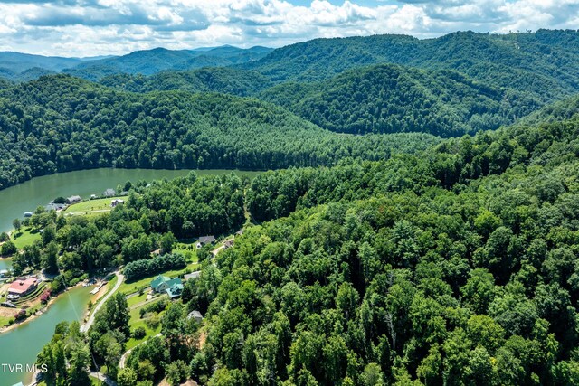 LOT14B Cable Hollow Rd, Butler, TN 37640
