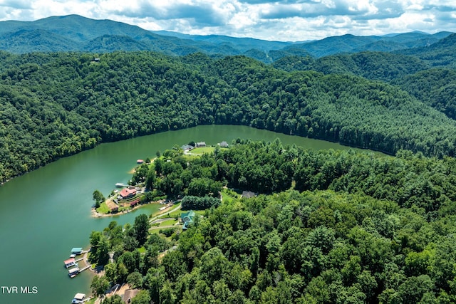 LOT14B Cable Hollow Rd, Butler, TN 37640