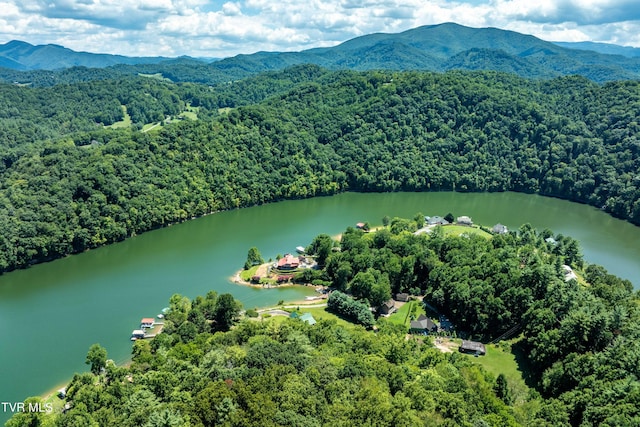 LOT14B Cable Hollow Rd, Butler, TN 37640