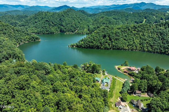 LOT14B Cable Hollow Rd, Butler, TN 37640