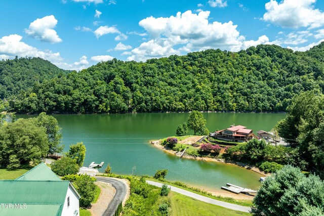 LOT14B Cable Hollow Rd, Butler, TN 37640