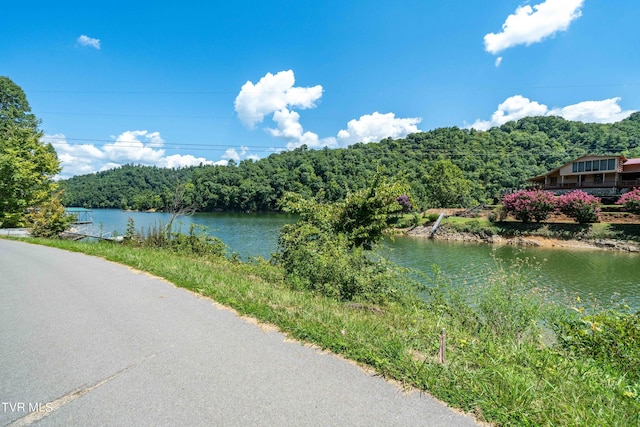 LOT14B Cable Hollow Rd, Butler, TN 37640