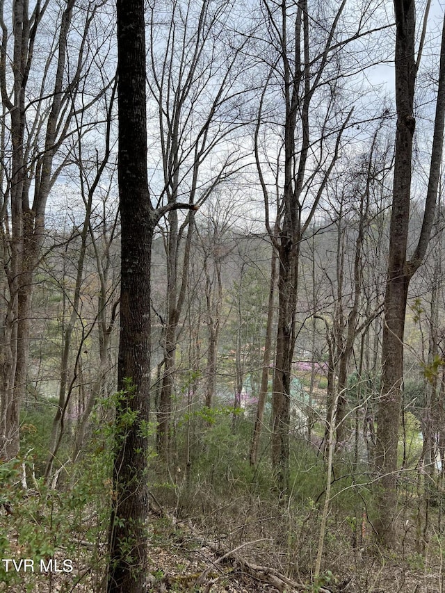 LOT14B Cable Hollow Rd, Butler, TN 37640