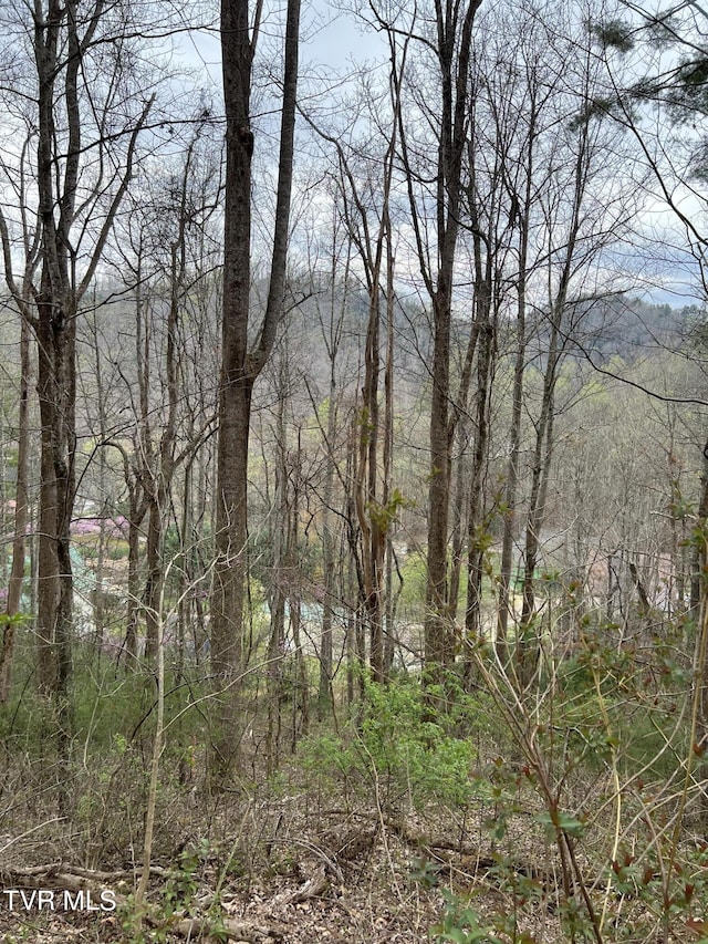 LOT14B Cable Hollow Rd, Butler, TN 37640