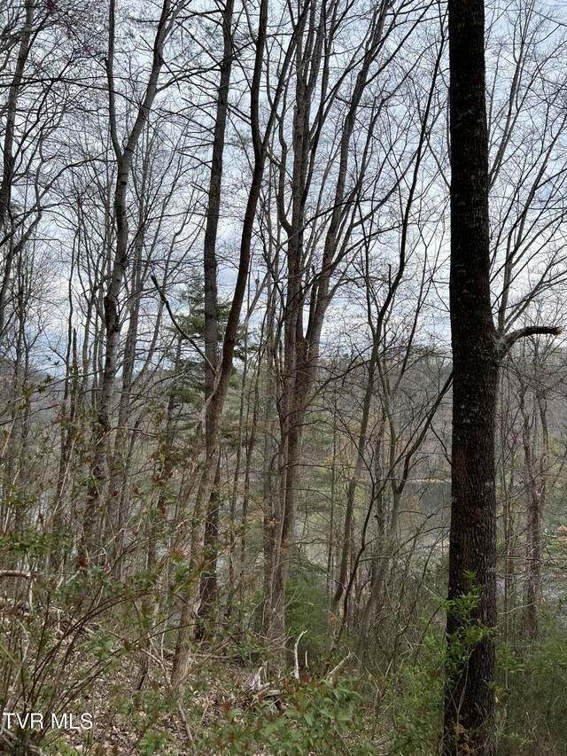 LOT14B Cable Hollow Rd, Butler, TN 37640