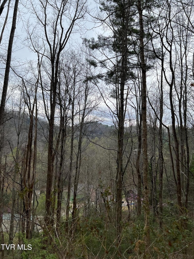 LOT14B Cable Hollow Rd, Butler, TN 37640