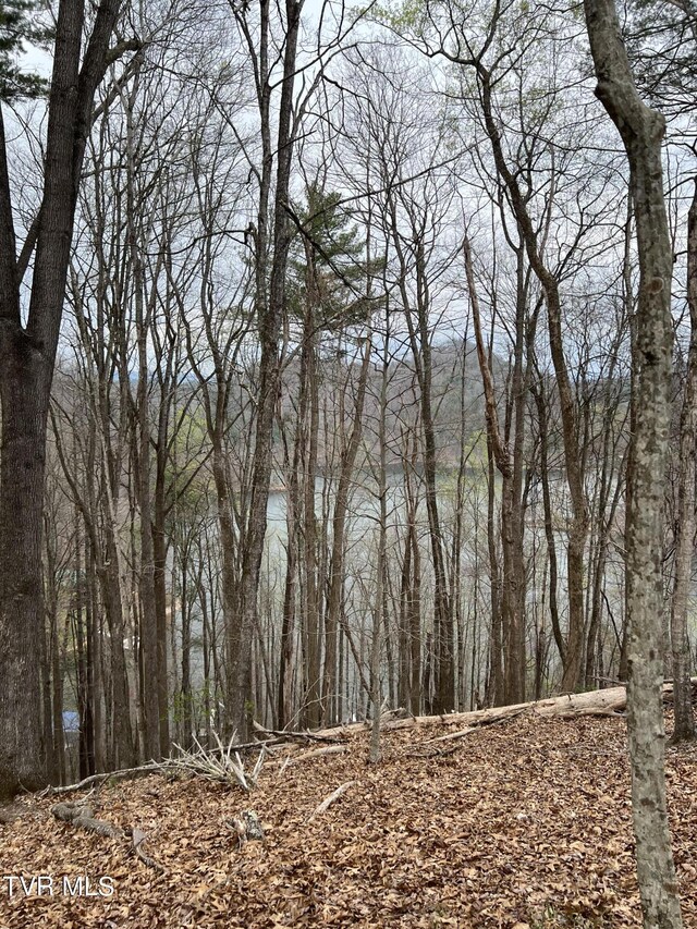 LOT14B Cable Hollow Rd, Butler, TN 37640