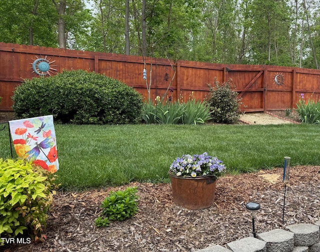 211 Michaels Ridge Blvd, Gray, TN 37615 - view of yard with fence
