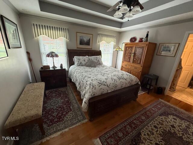 211 Michaels Ridge Blvd, Gray, TN 37615 - bedroom featuring wood finished floors, a ceiling fan, and a raised ceiling