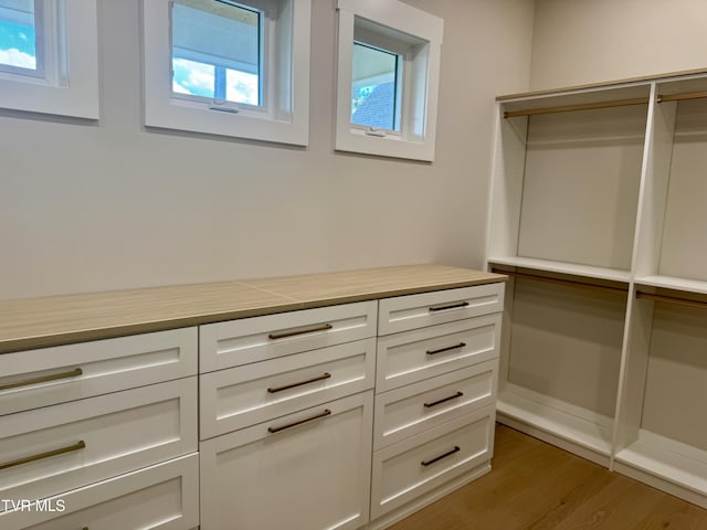 1093 Hawk Nest Ct, Jonesborough, TN 37659 - walk in closet featuring light wood-style floors