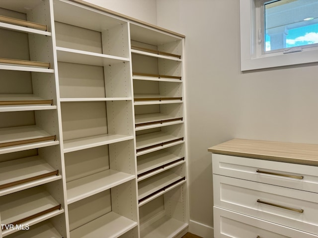 1093 Hawk Nest Ct, Jonesborough, TN 37659 - view of walk in closet