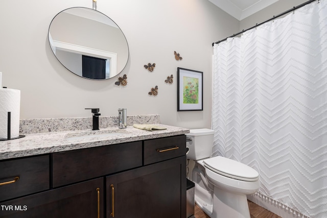 125 Lynn Rd, Johnson City, TN 37604 - bathroom featuring wood finished floors, toilet, and vanity