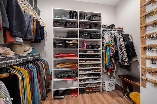 125 Lynn Rd, Johnson City, TN 37604 - spacious closet with wood finished floors
