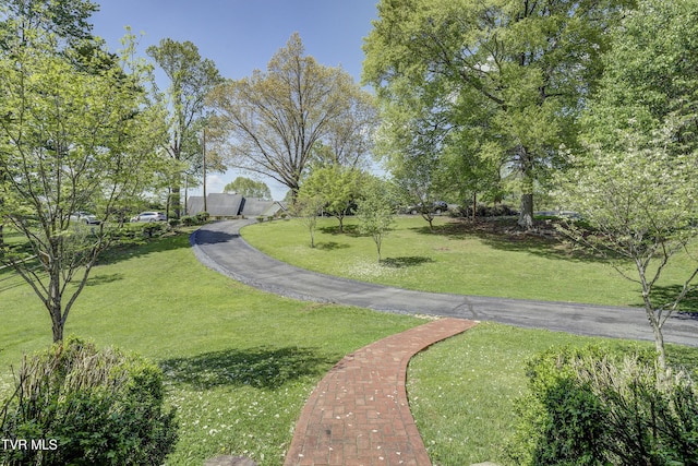 103 Dogwood Ln, Johnson City, TN 37604 - view of property's community with fence and a yard