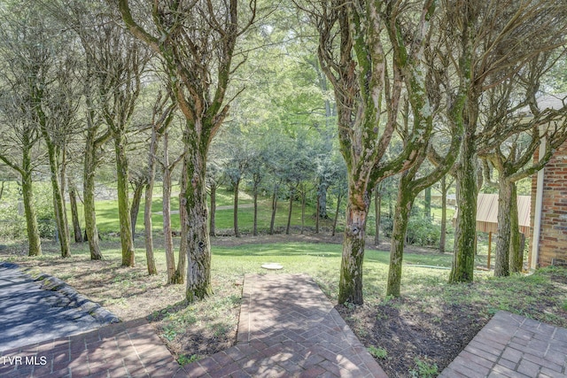 103 Dogwood Ln, Johnson City, TN 37604 - view of yard