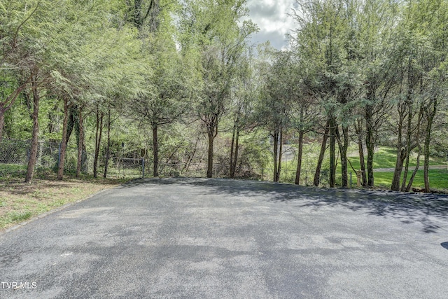 103 Dogwood Ln, Johnson City, TN 37604 - view of road with a view of trees