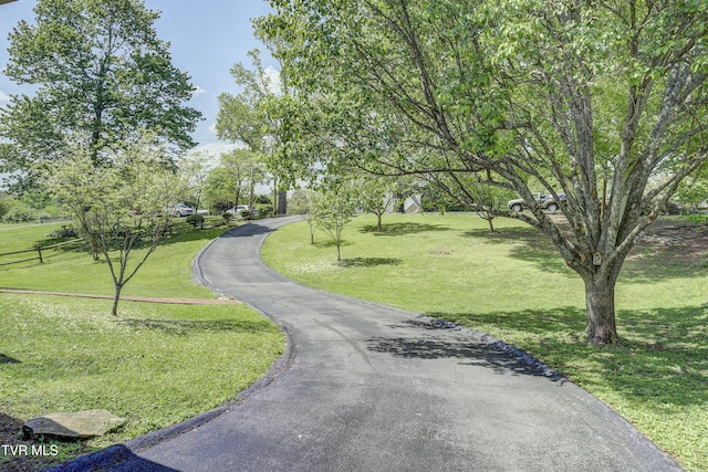 103 Dogwood Ln, Johnson City, TN 37604 - view of home's community featuring a lawn and driveway