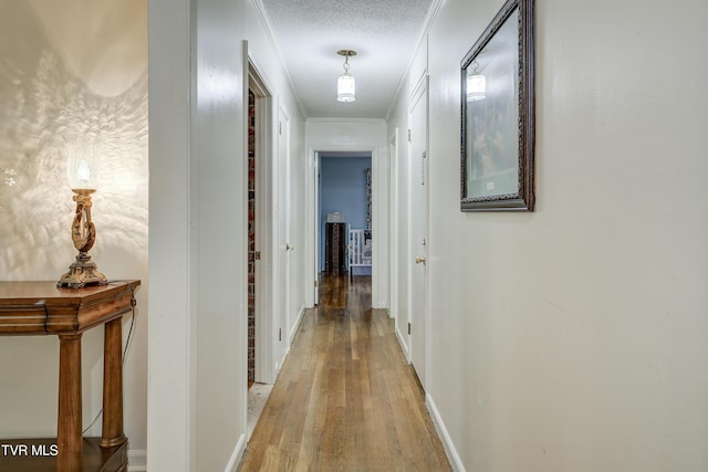 103 Dogwood Ln, Johnson City, TN 37604 - corridor featuring light wood finished floors, baseboards, and ornamental molding