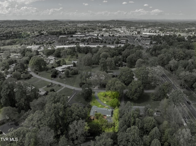 103 Dogwood Ln, Johnson City, TN 37604 - drone / aerial view