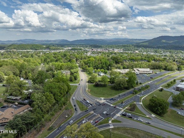103 Dogwood Ln, Johnson City, TN 37604 - bird's eye view with a mountain view