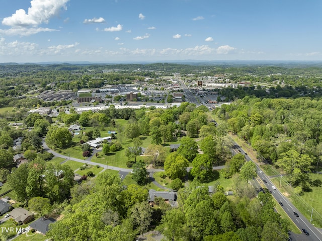 103 Dogwood Ln, Johnson City, TN 37604 - aerial view