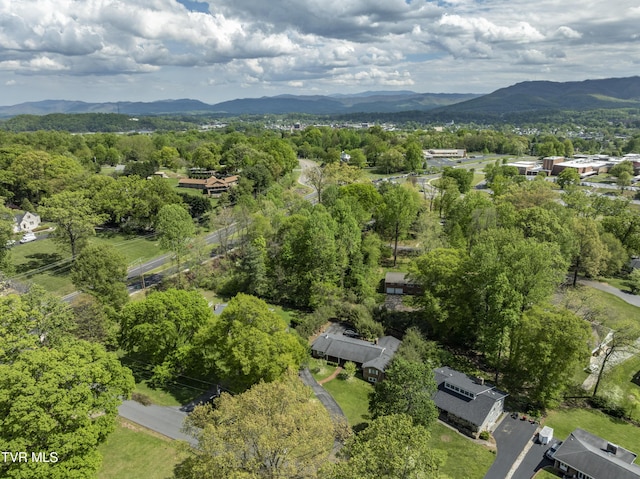 103 Dogwood Ln, Johnson City, TN 37604 - birds eye view of property with a mountain view