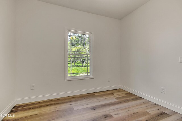 703 Swadley Rd Unit 1, Johnson City, TN 37601 - spare room with light wood-type flooring, plenty of natural light, and baseboards