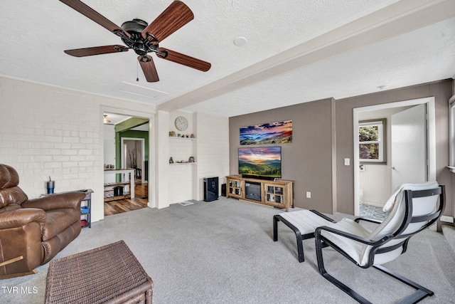 20 Chuckey College St, Chuckey, TN 37641 - living area with carpet floors, a textured ceiling, and a ceiling fan