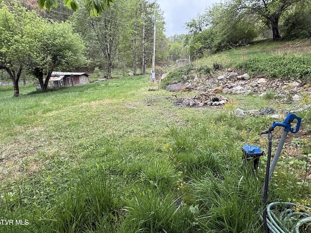 136 Gentry Mountain Rd, Erwin, TN 37650 - view of yard with a wooded view