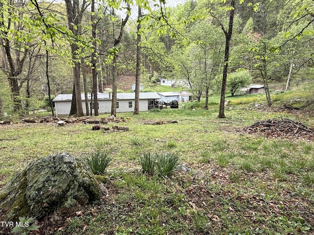 136 Gentry Mountain Rd, Erwin, TN 37650 - view of yard featuring a view of trees