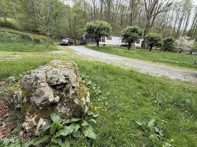 136 Gentry Mountain Rd, Erwin, TN 37650 - view of street with a view of trees and gravel driveway