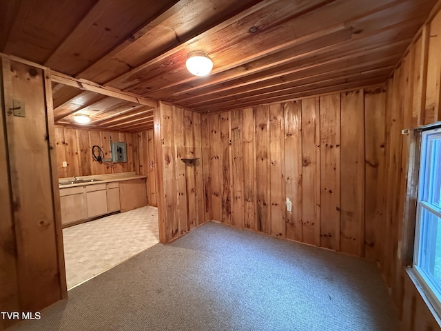 136 Gentry Mountain Rd, Erwin, TN 37650 - finished basement featuring wooden walls, wooden ceiling, carpet, and electric panel