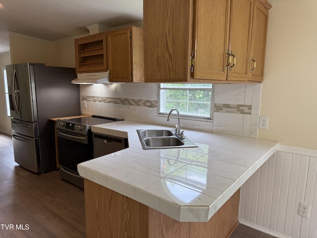 136 Gentry Mountain Rd, Erwin, TN 37650 - kitchen featuring appliances with stainless steel finishes, a sink, dark wood finished floors, a peninsula, and under cabinet range hood