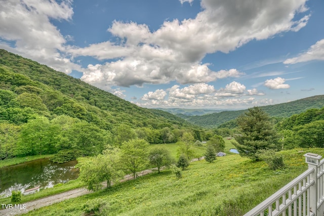 1010 Heaton Creek Rd, Roan Mountain, TN 37687 - view of mountain feature featuring a wooded view and a water view