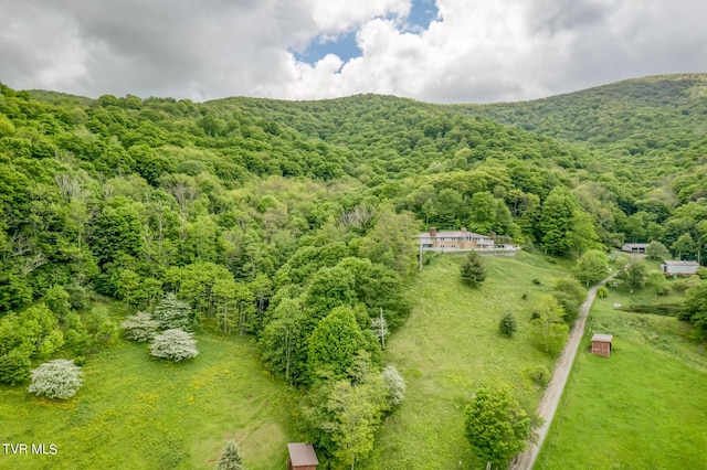 1010 Heaton Creek Rd, Roan Mountain, TN 37687 - drone / aerial view featuring a view of trees