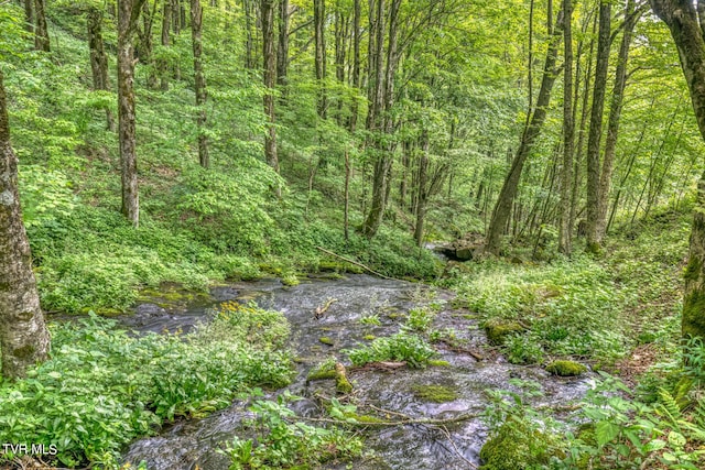 1010 Heaton Creek Rd, Roan Mountain, TN 37687 - view of nature featuring a view of trees
