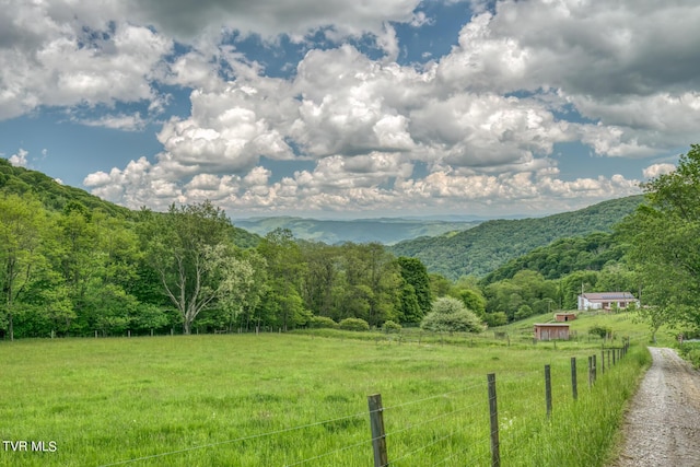 1010 Heaton Creek Rd, Roan Mountain, TN 37687 - property view of mountains featuring a rural view and a forest view