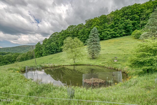1010 Heaton Creek Rd, Roan Mountain, TN 37687 - view of water feature