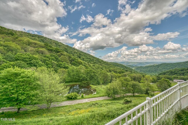 1010 Heaton Creek Rd, Roan Mountain, TN 37687 - mountain view