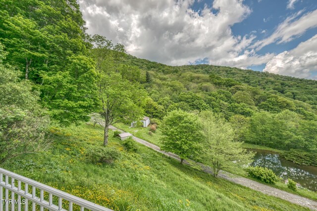 1010 Heaton Creek Rd, Roan Mountain, TN 37687 - mountain view featuring a view of trees and a water view