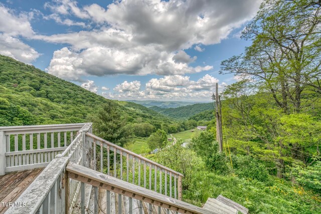1010 Heaton Creek Rd, Roan Mountain, TN 37687 - view of mountain feature featuring a wooded view