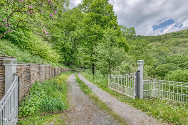 1010 Heaton Creek Rd, Roan Mountain, TN 37687 - view of road featuring a view of trees and a gate