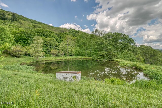 1010 Heaton Creek Rd, Roan Mountain, TN 37687 - property view of water with a wooded view