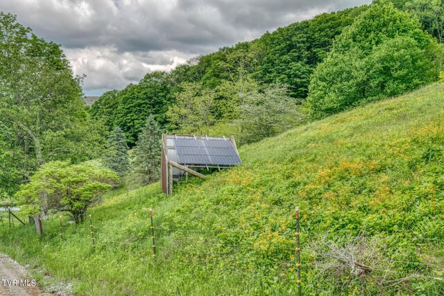 1010 Heaton Creek Rd, Roan Mountain, TN 37687 - view of yard featuring a forest view
