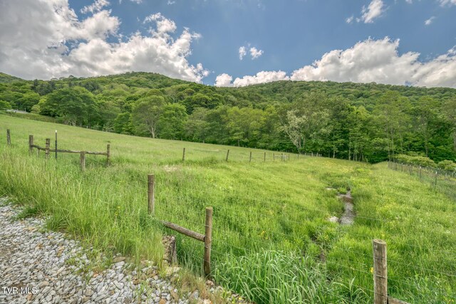 1010 Heaton Creek Rd, Roan Mountain, TN 37687 - mountain view with a wooded view and a rural view