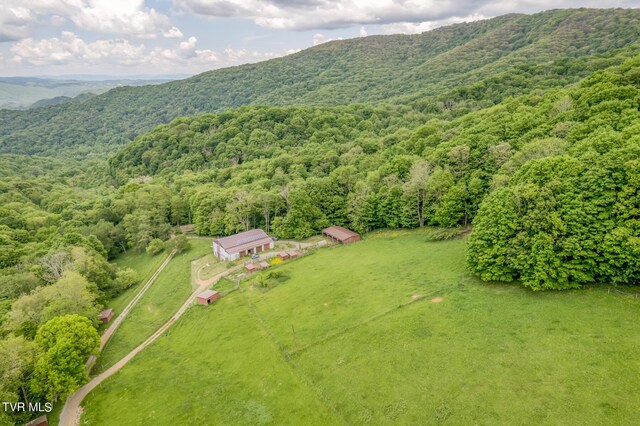 1010 Heaton Creek Rd, Roan Mountain, TN 37687 - birds eye view of property with a forest view and a mountain view